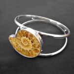 Fossil bangle